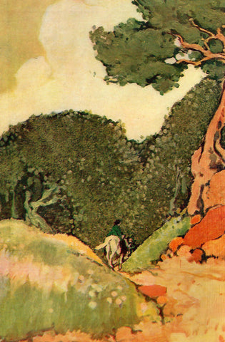 Clara Elsene Peck end paper illustrations for "In the Border Country" (1909): rare, beautifully framed antique