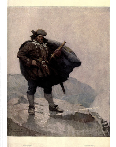 N. C. Wyeth  illustration from "Treasure Island" (1911): rare, beautifully framed antique